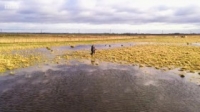 Countryfile S32E02 WEB H264-iPlayerTV [eztv]