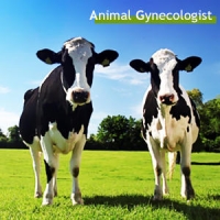 Jester - Animal Gynecologist