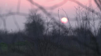 Springtime on the Farm S07E01 XviD-AFG EZTV Springtime on the Farm S07E01 XviD-AFG EZTV