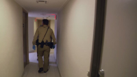 Cops S34E06 1080p HEVC x265-MeGusta EZTV Cops S34E06 1080p HEVC x265-MeGusta EZTV