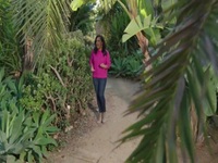 Wild Child S01E02 480p x264-mSD EZTV Wild Child S01E02 480p x264-mSD EZTV