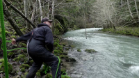 Expedition Bigfoot S05E02 XviD-AFG EZTV