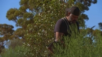 Aussie Gold Hunters S06E09 1080p HEVC x265-MeGusta EZTV Aussie Gold Hunters S06E09 1080p HEVC x265-MeGusta EZTV