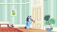 Bluey S03E11 iNTERNAL XviD-AFG EZTV