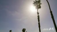 Intervention S23E03 Jesse 720p HEVC x265-MeGusta EZTV