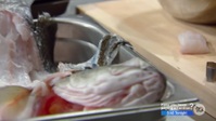 MasterChef Australia S13E35 1080p HEVC x265-MeGusta EZTV MasterChef Australia S13E35 1080p HEVC x265-MeGusta EZTV