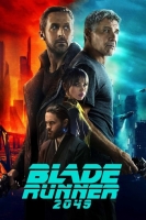 Blade Runner 2049 2017 WEBRip 480p x264 AAC-VYTO [P2PDL]
