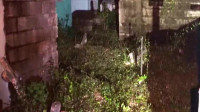 Paranormal Caught on Camera S08E04 XviD-AFG EZTV Paranormal Caught on Camera S08E04 XviD-AFG EZTV