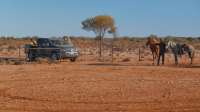 Aussie Gold Hunters S09E16 1080p HEVC x265-MeGusta EZTV Aussie Gold Hunters S09E16 1080p HEVC x265-MeGusta EZTV