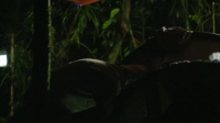 Nature S39E05 Protecting Primates 720p HEVC x265-MeGusta EZTV Nature S39E05 Protecting Primates 720p HEVC x265-MeGusta EZTV