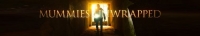 Mummies Unwrapped S01E05 Hunting Lincolns Assassin WEB H264-EQUATION[TGx]