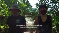 Wet Markets Exposed S01E02 Peru XviD-AFG EZTV