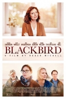 Blackbird 2020 HDRip XviD AC3-EVO