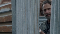 The Walking Dead Season 8 S08 complete 1080P hevc bluury