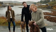 Hudson and Rex S04E12 720p HEVC x265-MeGusta EZTV