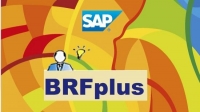 [ DevCourseWeb ] Udemy - Use SAP BRFplus Like a Pro!