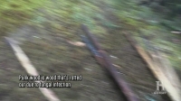 Alone S04E08 720p HDTV x264-W4F[eztv]