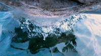 Life Below Zero First Alaskans S01E01 XviD-AFG EZTV Life Below Zero First Alaskans S01E01 XviD-AFG EZTV