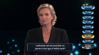 Weakest Link 2020 S02E08 1080p HEVC x265-MeGusta EZTV Weakest Link 2020 S02E08 1080p HEVC x265-MeGusta EZTV