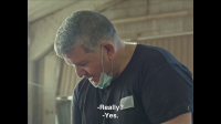 POV S37E05 Fauna 1080p HEVC x265-MeGusta EZTV POV S37E05 Fauna 1080p HEVC x265-MeGusta EZTV