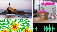 Lynda | Creative Cloud Crash Course [FCO]