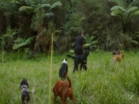 Barkley Manor S01E05 480p x264-mSD EZTV