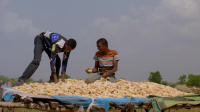 Chasing Flavor S01E06 XviD-AFG EZTV Chasing Flavor S01E06 XviD-AFG EZTV