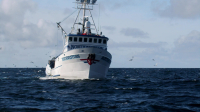 Deadliest Catch S20E03 1080p WEB h264-FREQUENCY EZTV Deadliest Catch S20E03 1080p WEB h264-FREQUENCY EZTV