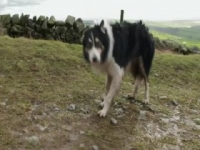 Countryfile S32E10 INTERNAL 480p x264-mSD [eztv]