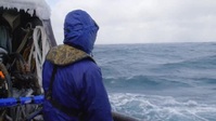 Deadliest Catch S17E20 Over the Rail XviD-AFG EZTV