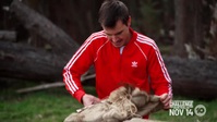 The Traitors AU S01E10 XviD-AFG EZTV