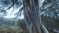 Back To Nature S01E02 720p HDTV x264-CBFM EZTV Back To Nature S01E02 720p HDTV x264-CBFM EZTV