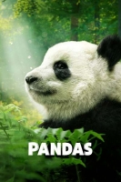 Pandas 2018 720p BluRay 800MB x264-GalaxyRG