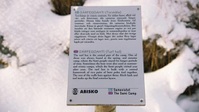 The Grand Tour S05E01 XviD-AFG EZTV