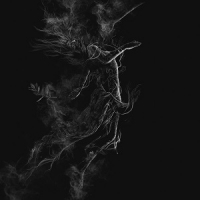 [ambient, art pop, experimental] (2020) Jarboe - Illusory [FLAC] [DarkAngie]