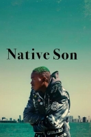 Native Son 2019 HDRip AC3 x264-CMRG[TGx]