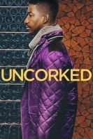 Uncorked 2020 HDRip XviD AC3-EVO[TGx]
