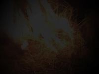 The UnXplained S03E02 480p x264-mSD EZTV