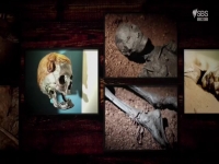 The Ascent Of Civilization S02E02 480p x264-mSD EZTV The Ascent Of Civilization S02E02 480p x264-mSD EZTV