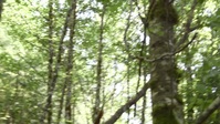 Expedition Bigfoot S03E06 720p HEVC x265-MeGusta EZTV Expedition Bigfoot S03E06 720p HEVC x265-MeGusta EZTV