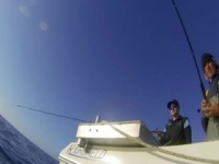 Dive Wars Australia S03E02 480p x264-mSD [eztv]