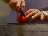 Fear Factor S05E02 WEB x264-TASTETV[eztv]