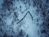 Life Below Zero S11E10 480p x264-mSD [eztv]