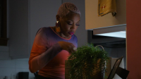 The Irrational S02E02 720p x265-TiPEX EZTV The Irrational S02E02 720p x265-TiPEX EZTV