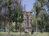 Shrinking S01E02 480p x264-mSD EZTV Shrinking S01E02 480p x264-mSD EZTV
