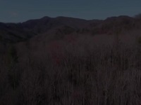 Mountain Men S12E01 480p x264-mSD EZTV Mountain Men S12E01 480p x264-mSD EZTV