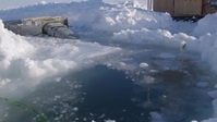 Bering Sea Gold S14E09 XviD-AFG EZTV