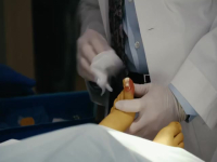 Chicago Med S09E12 480p x264-mSD EZTV