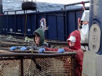 Deadliest Catch S19E06 480p x264-mSD EZTV Deadliest Catch S19E06 480p x264-mSD EZTV