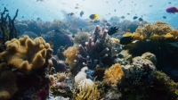 A Perfect Planet S01E05 Humans 720p HEVC x265-MeGusta EZTV A Perfect Planet S01E05 Humans 720p HEVC x265-MeGusta EZTV